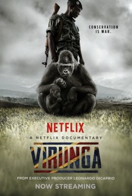 Вирунга (2014)